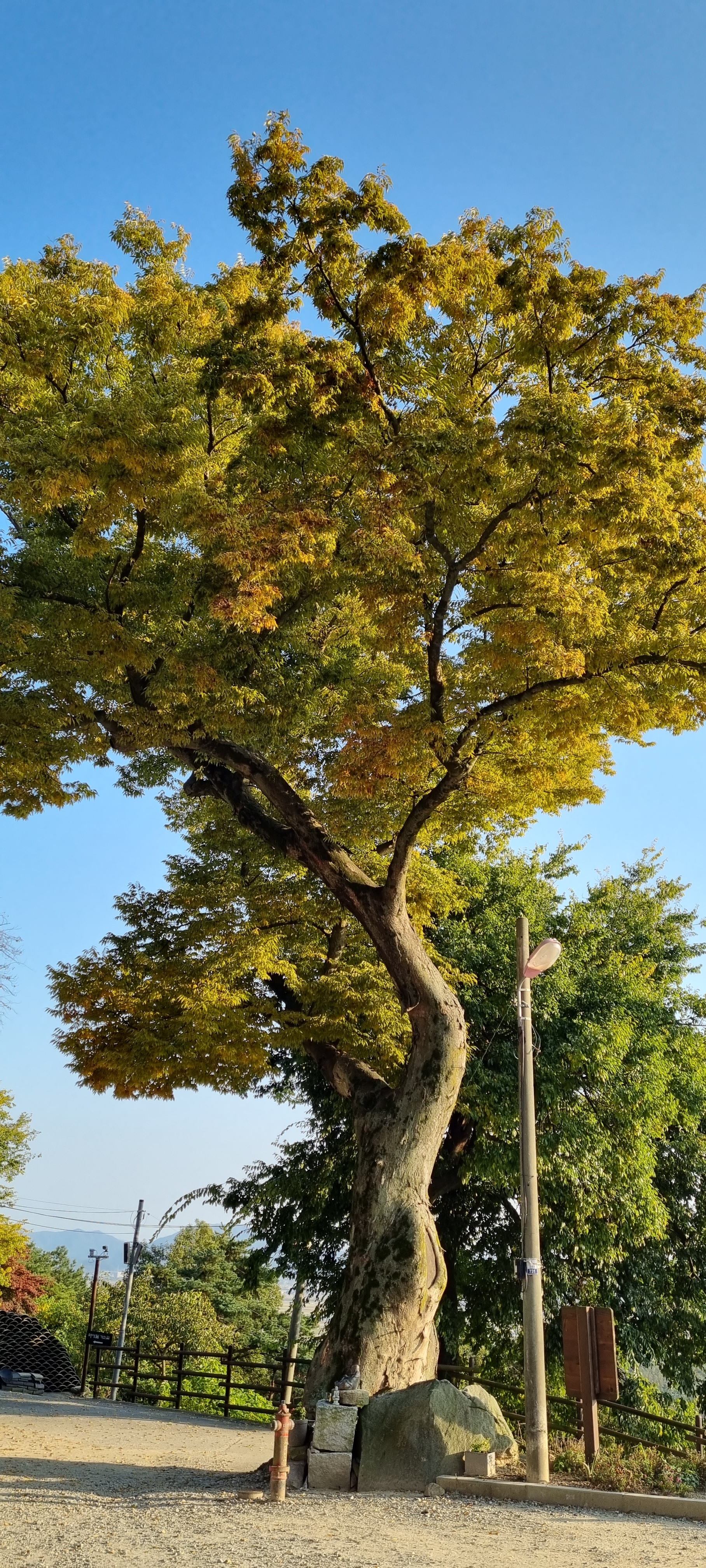 변산자연휴양림 이미지