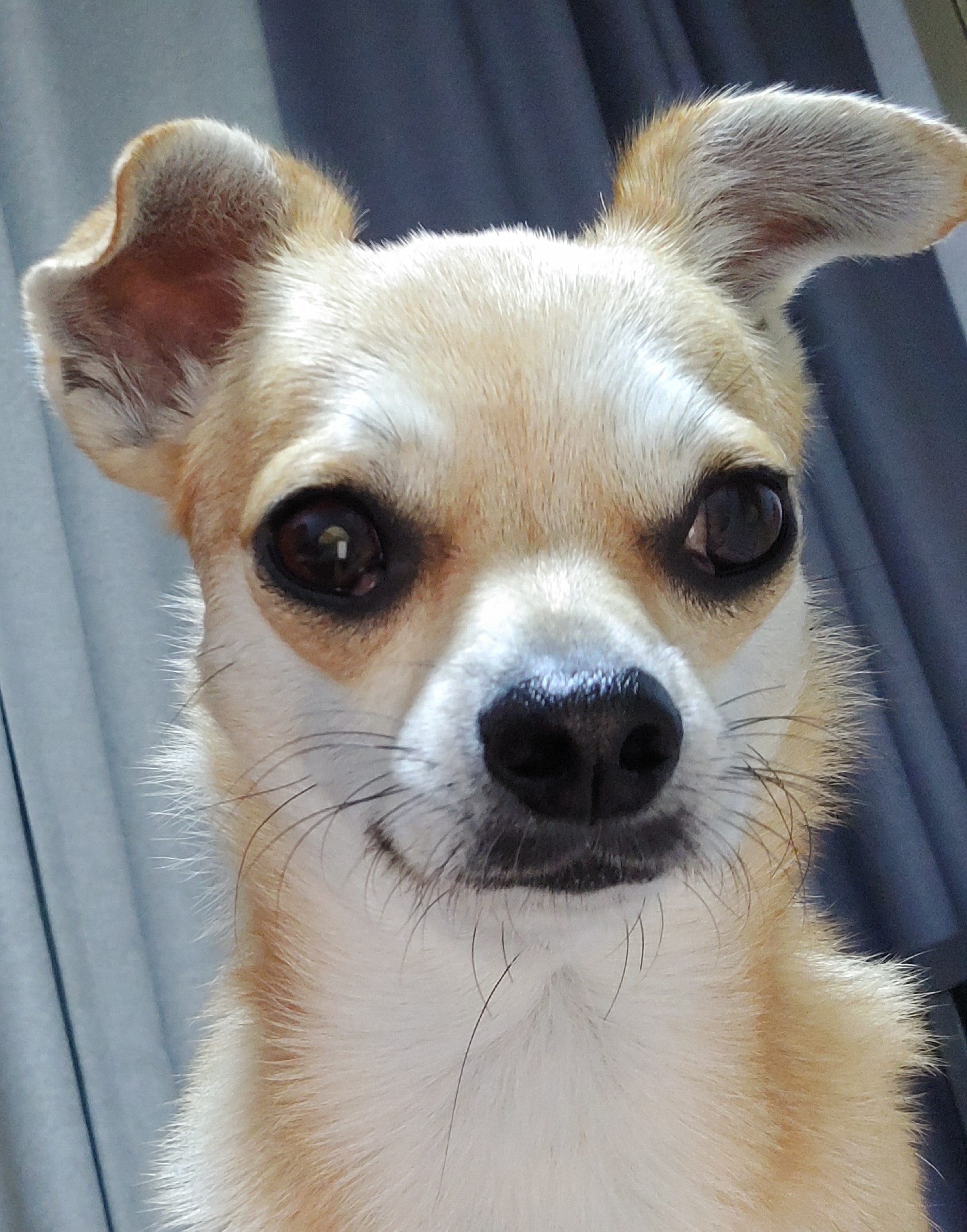 복길이아빠 이순효