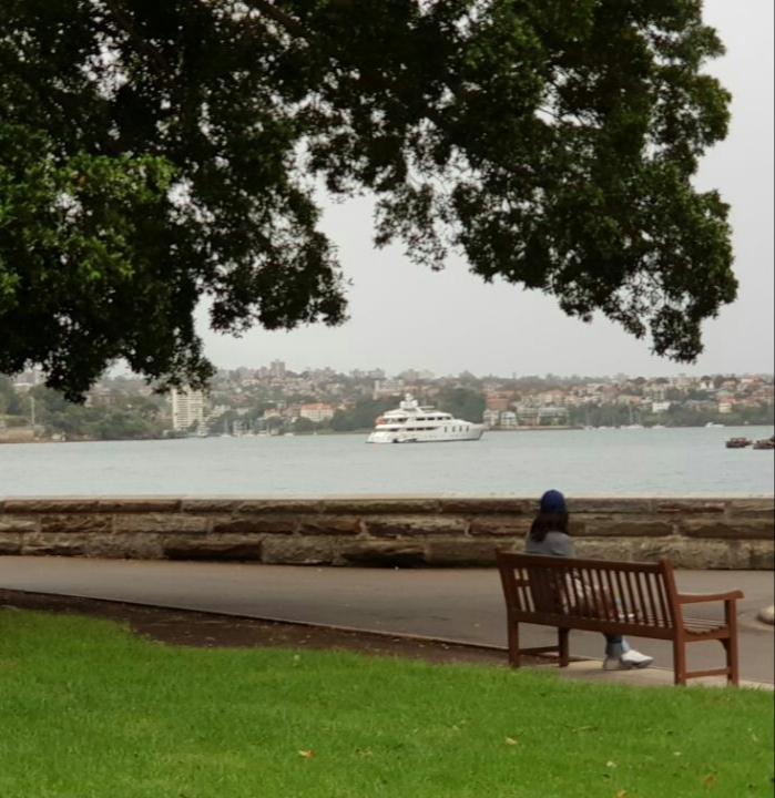 주토피아플래시