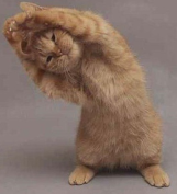 정신차려 송대리