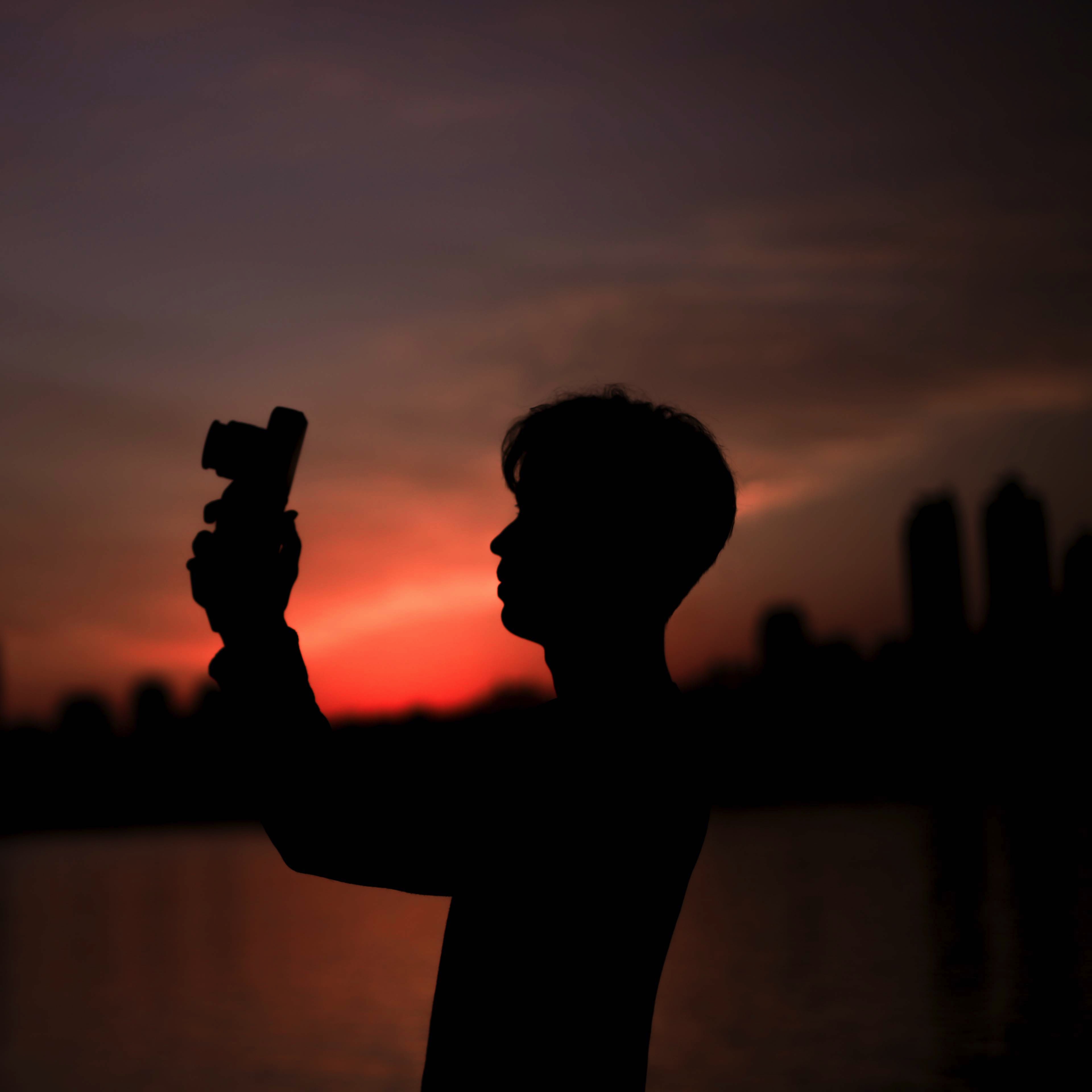 진보인생 대용이