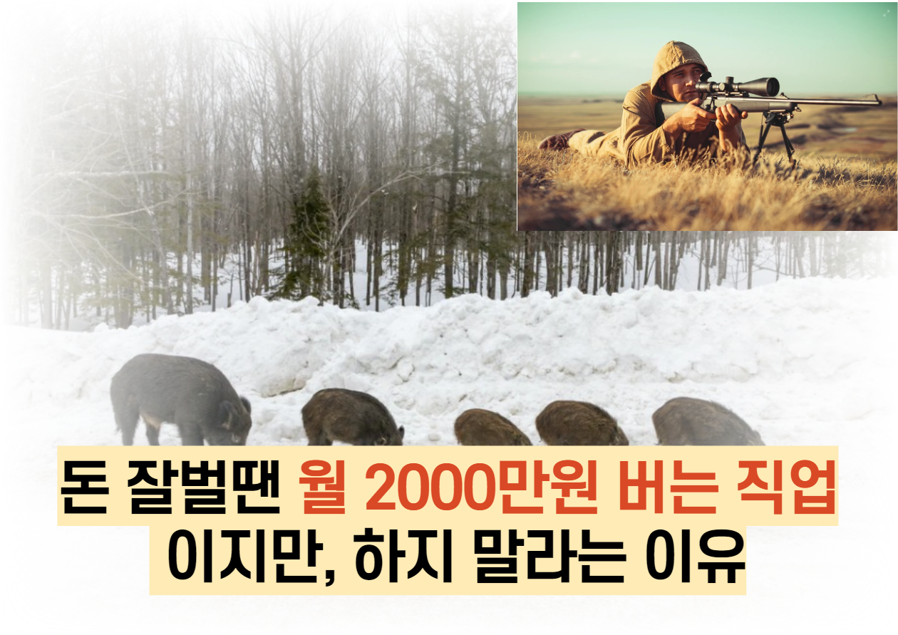 돈 잘벌땐 월 2000만원 버는 직업 이지만..