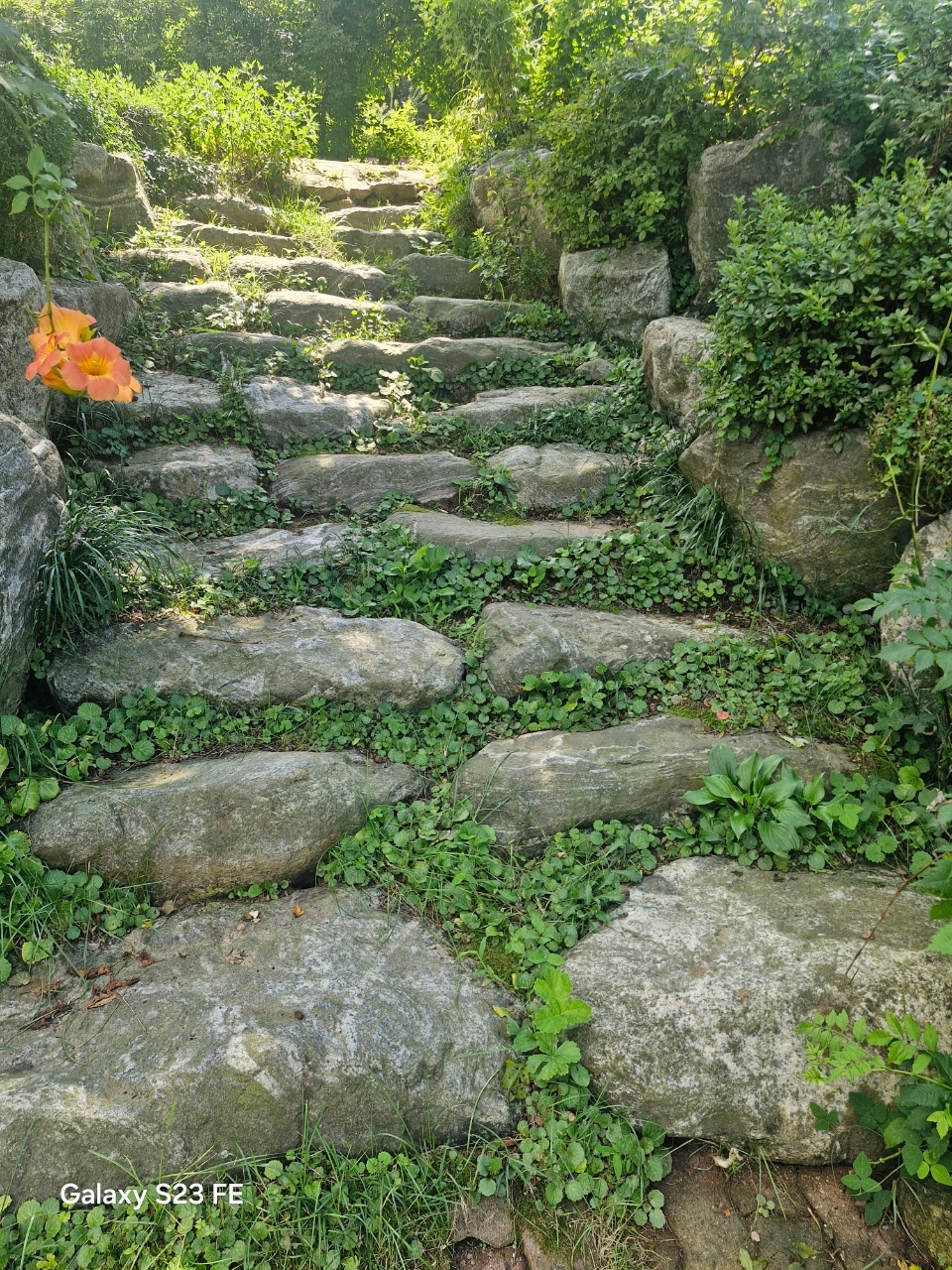 01화 숨길까. 나눌까?