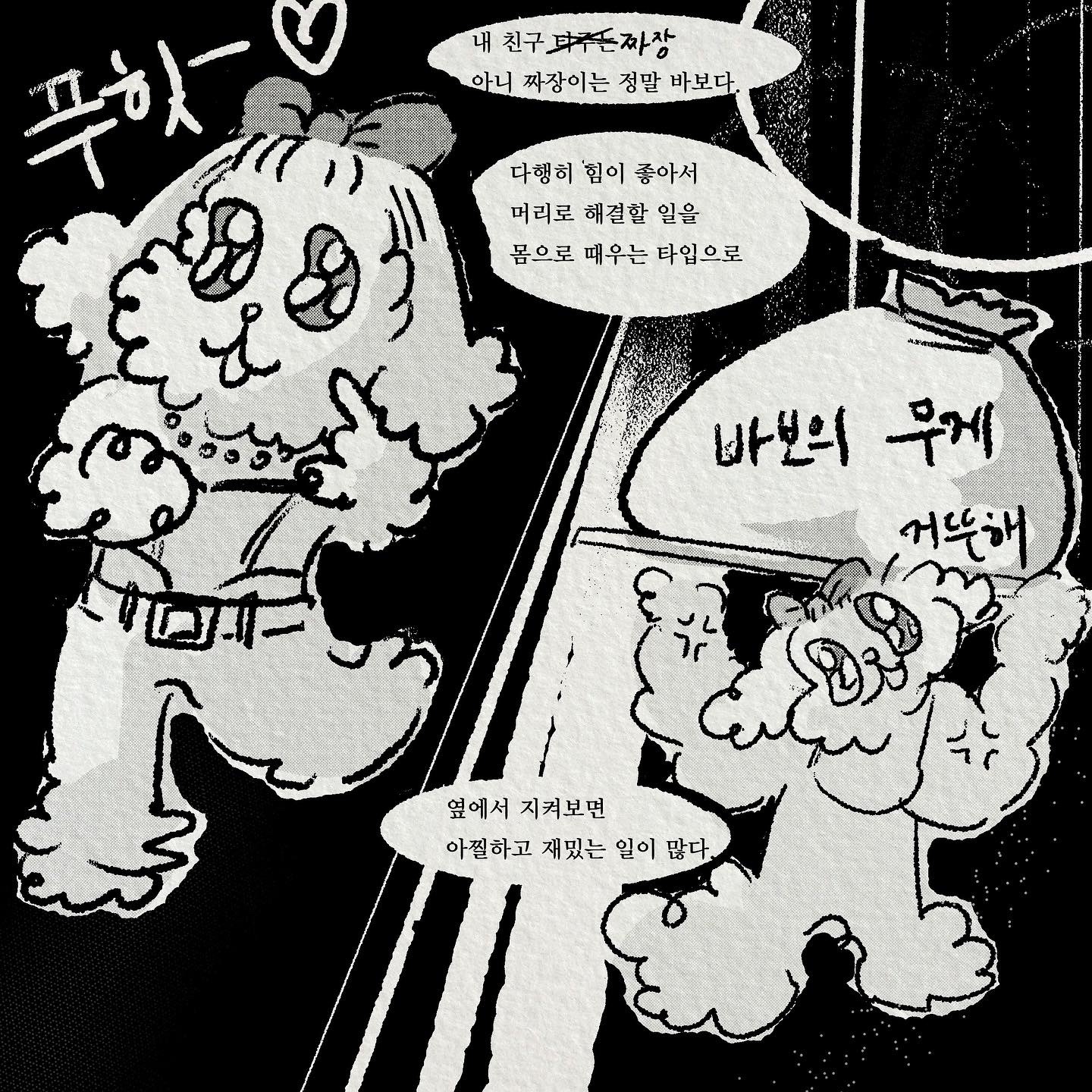 장짜장 이미지