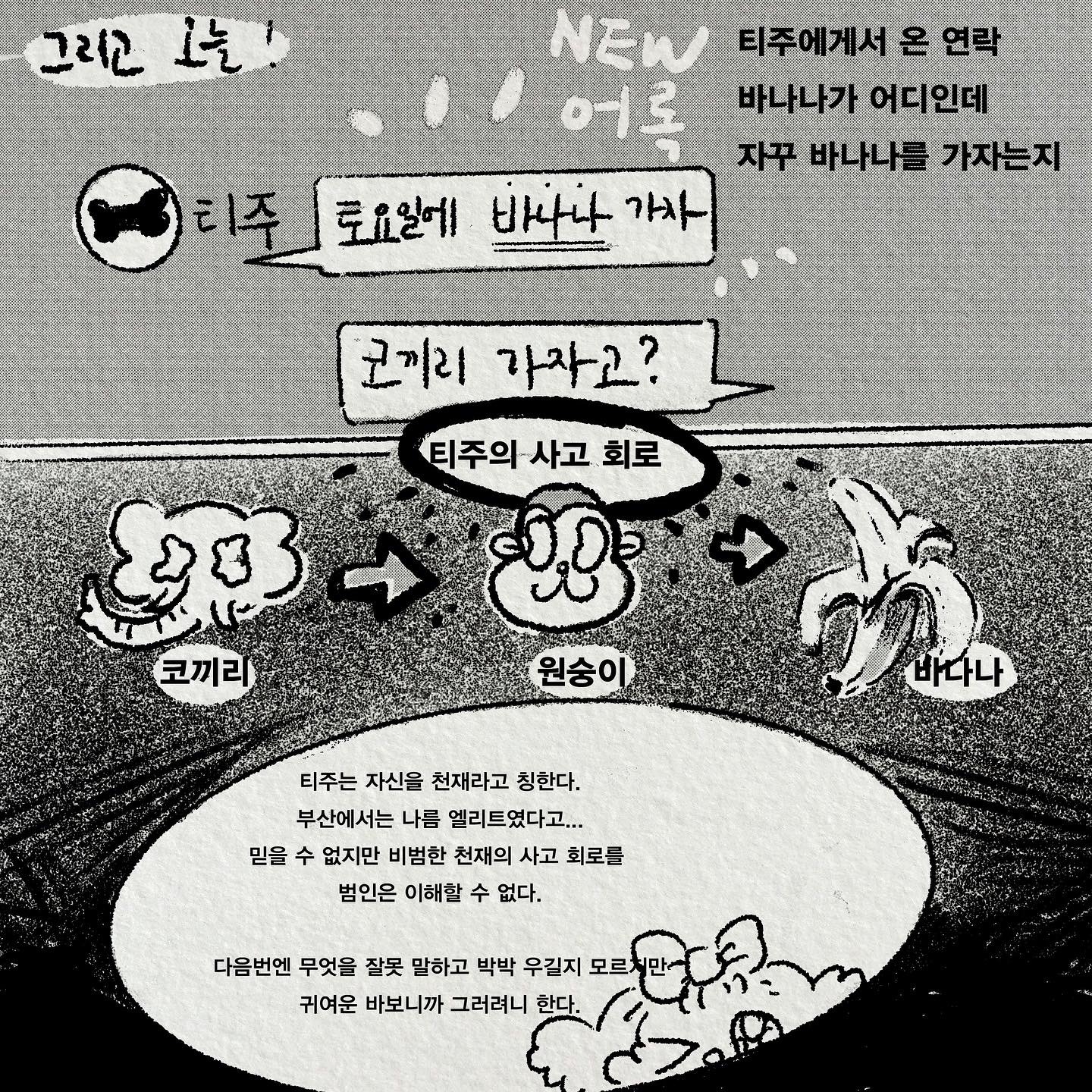 이디엠 이미지