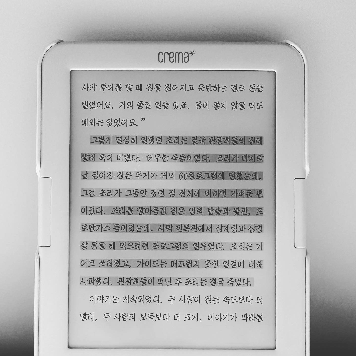 유나여행사 이미지