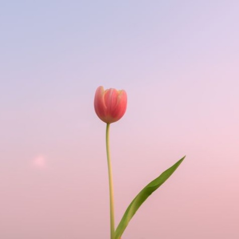 박주형