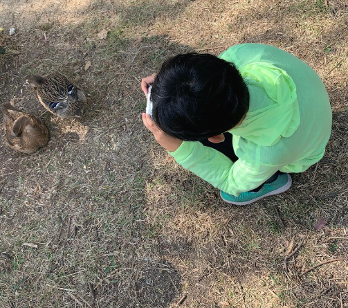 오리이야기 이미지