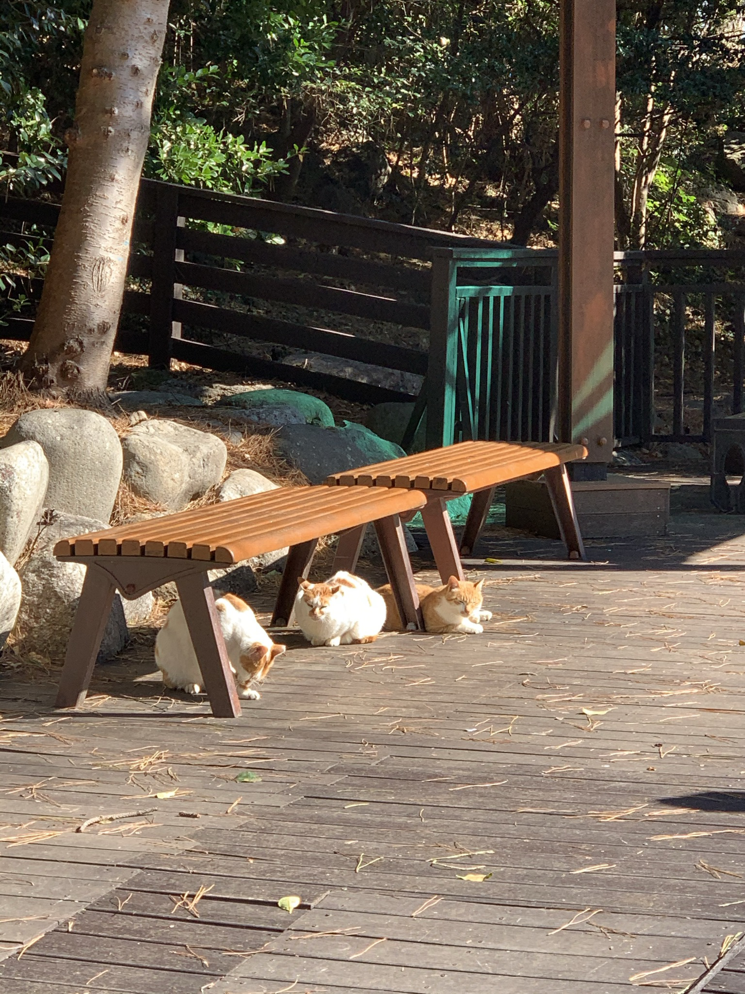 내가 작가가 될 수 있을까