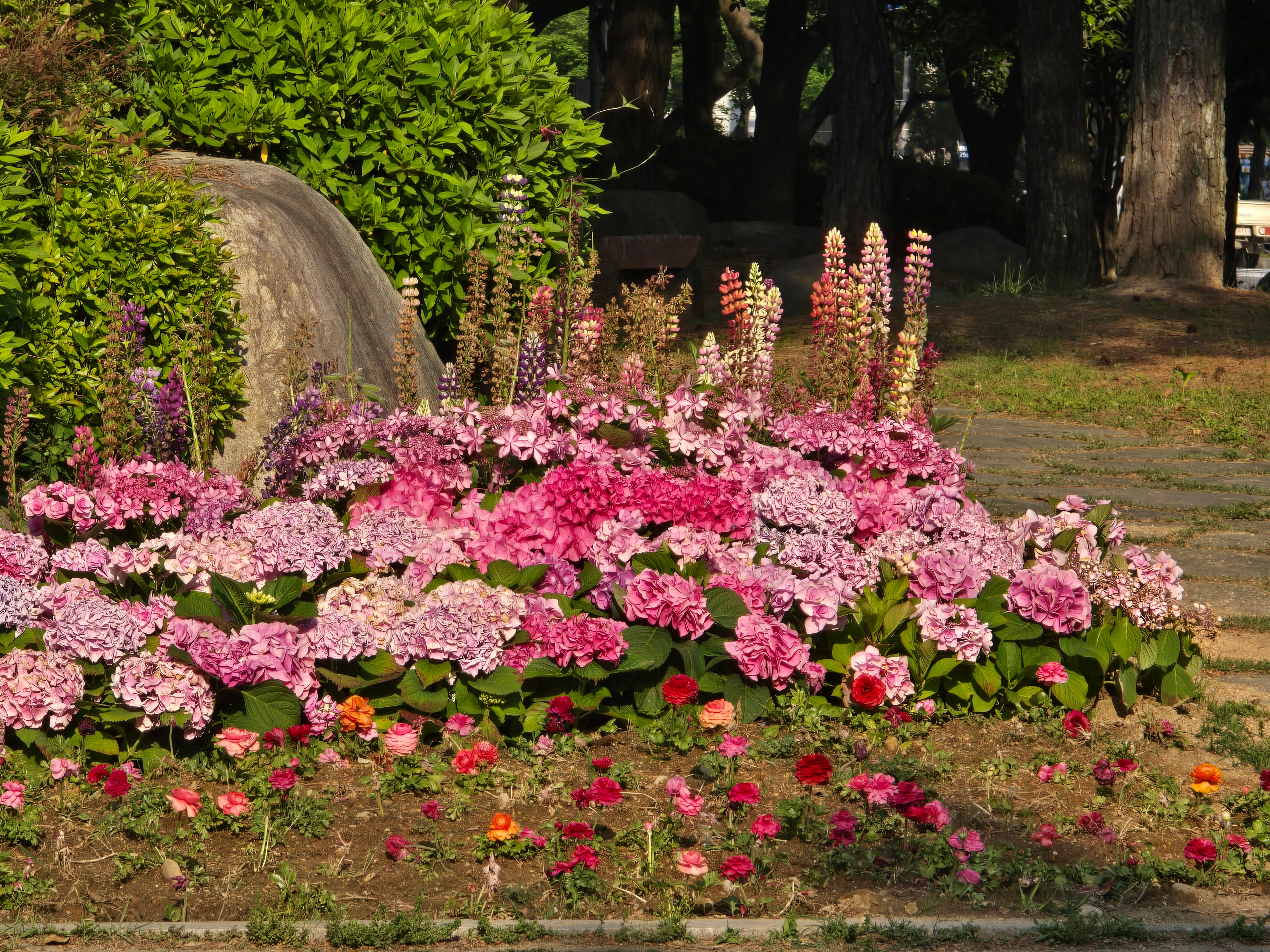 행복은 성장하는 과정이다