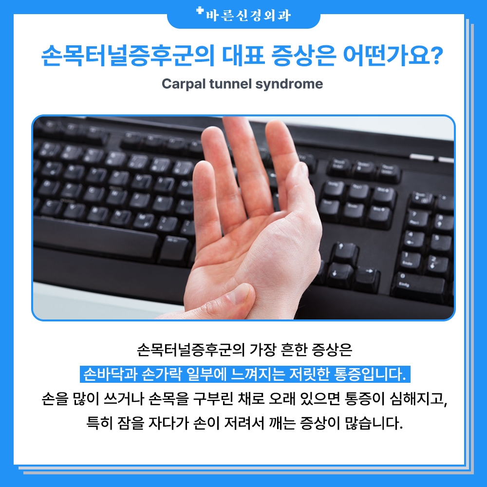 밤의감각 이미지