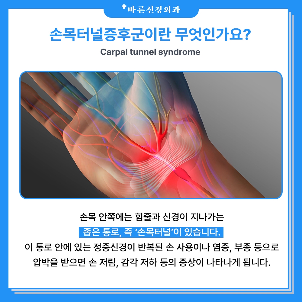 밤의감각 이미지