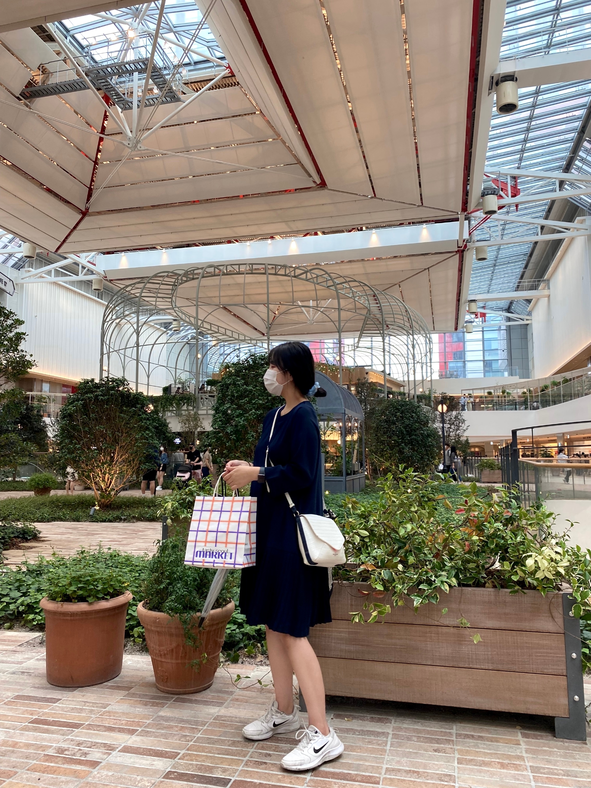 라임오렌지나무