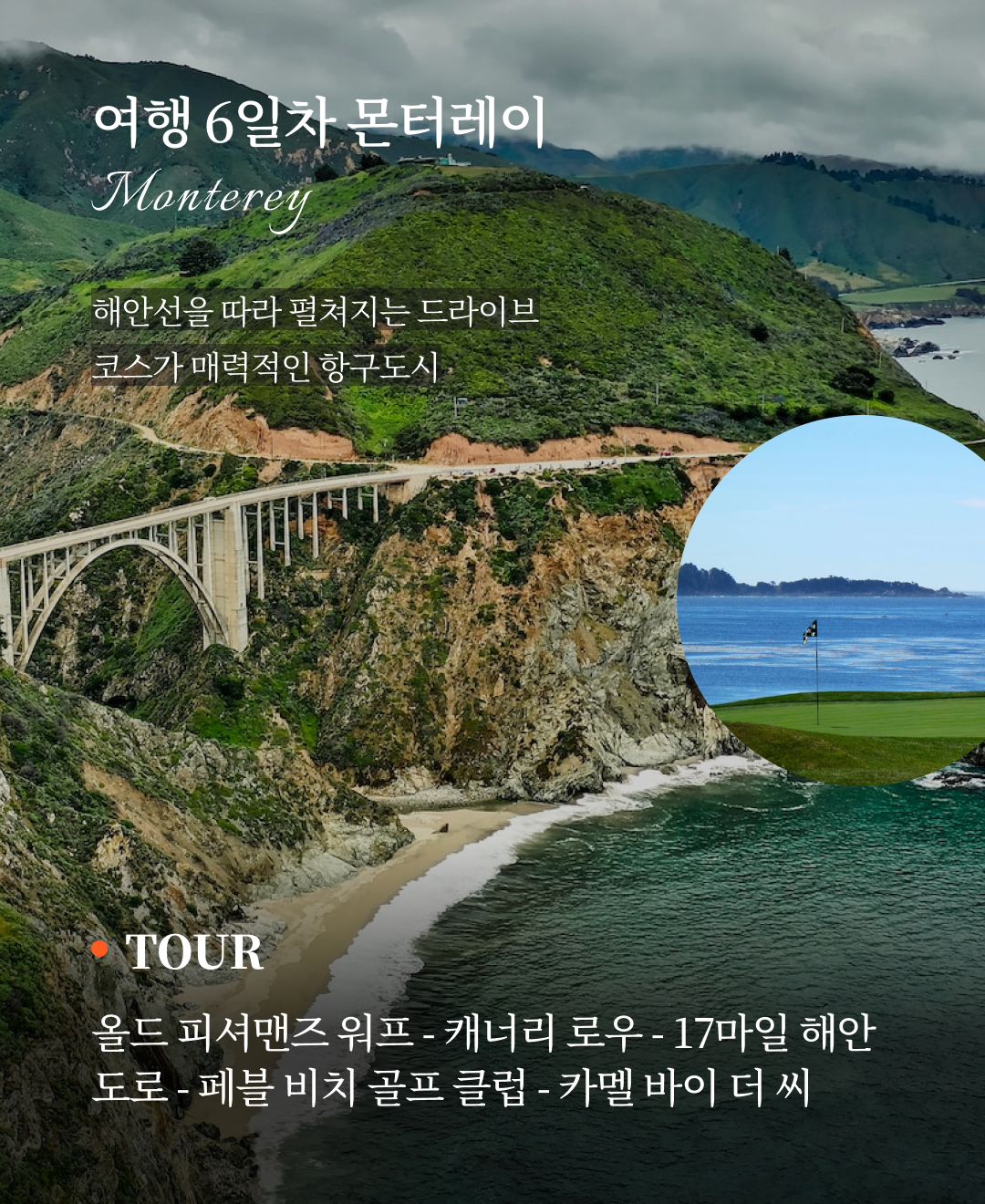포트벨리 이미지