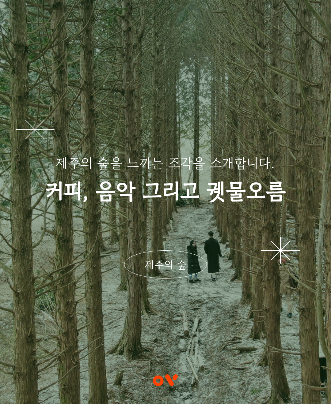 커피나무향기 이미지