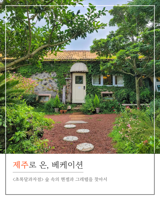 달과자 이미지