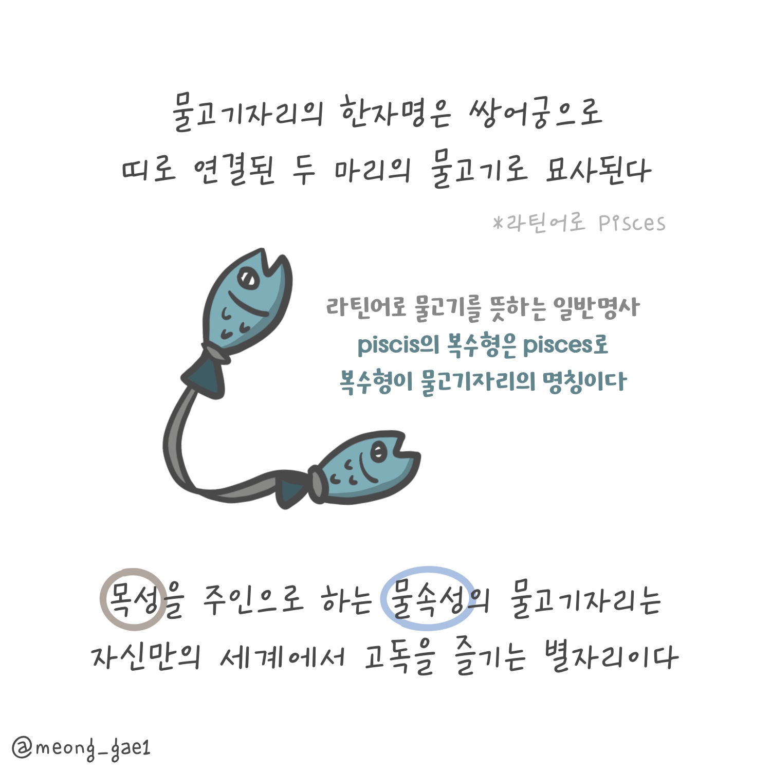 몽상가 물고기자리