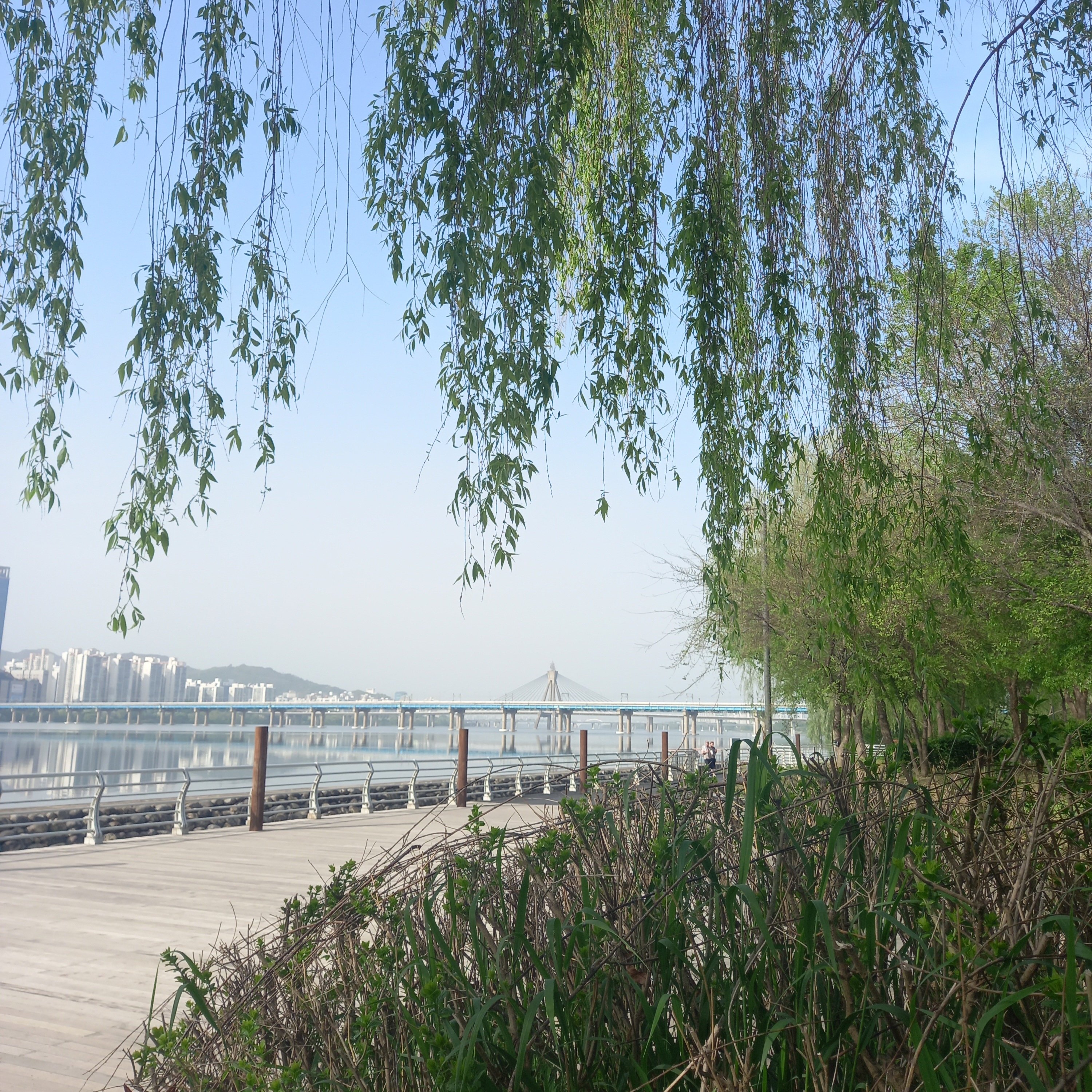 어거스틴 재즈너드