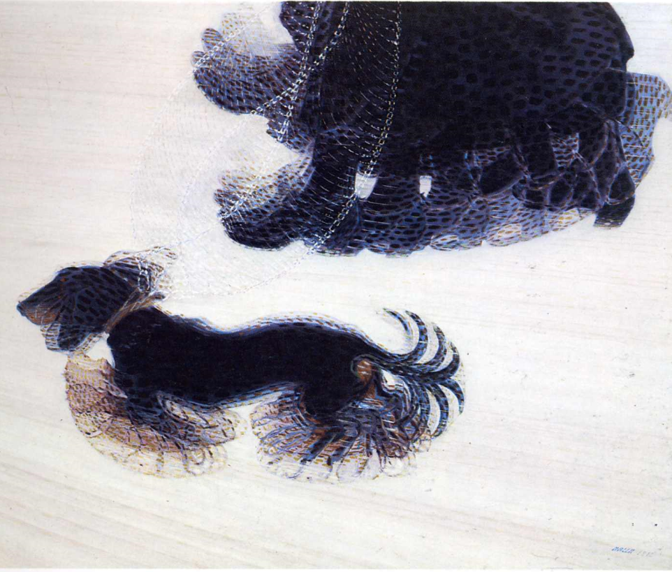 발라(BALLA) 이미지