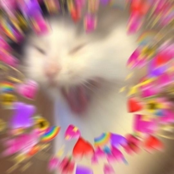 려미트 이미지