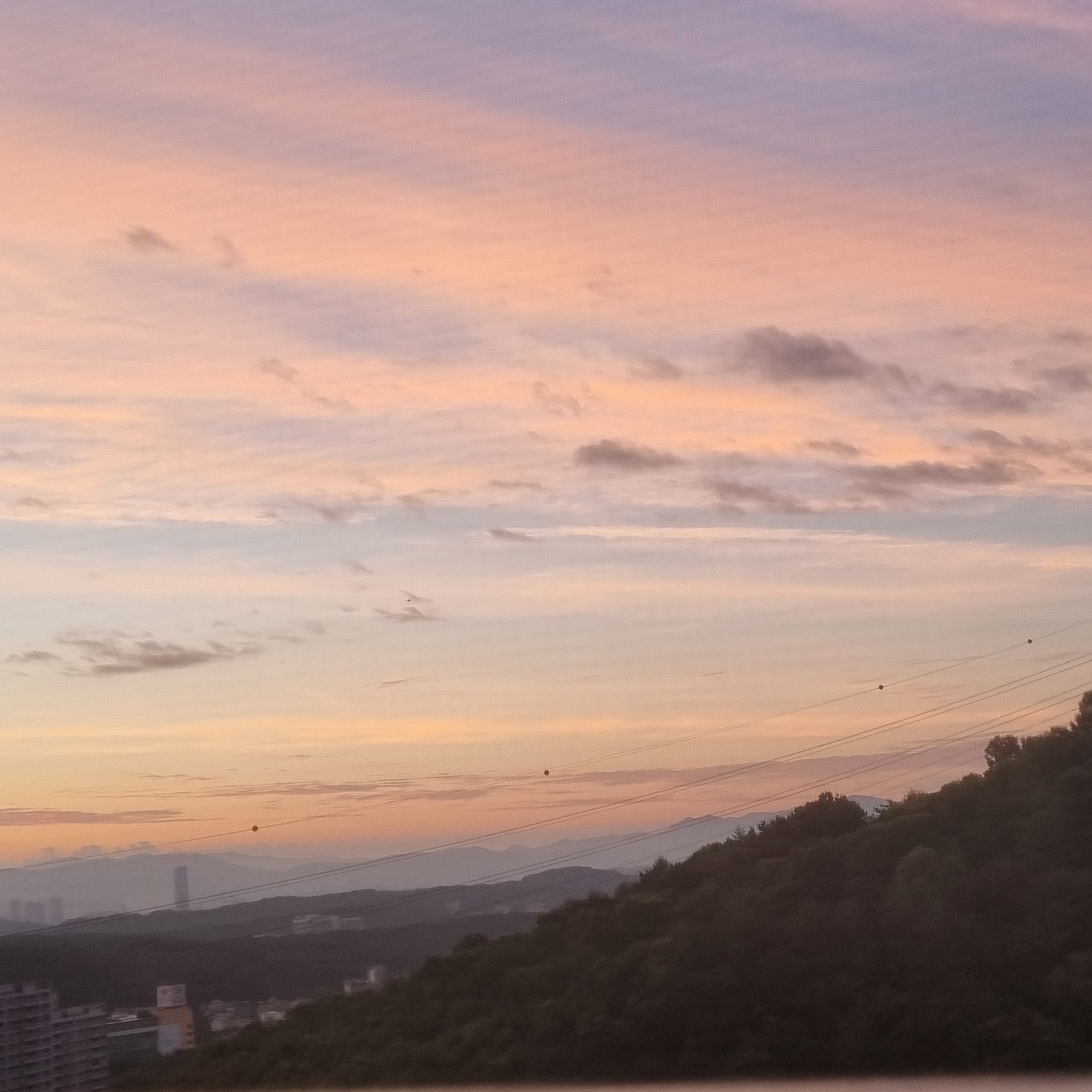 새벽지평선바라보며