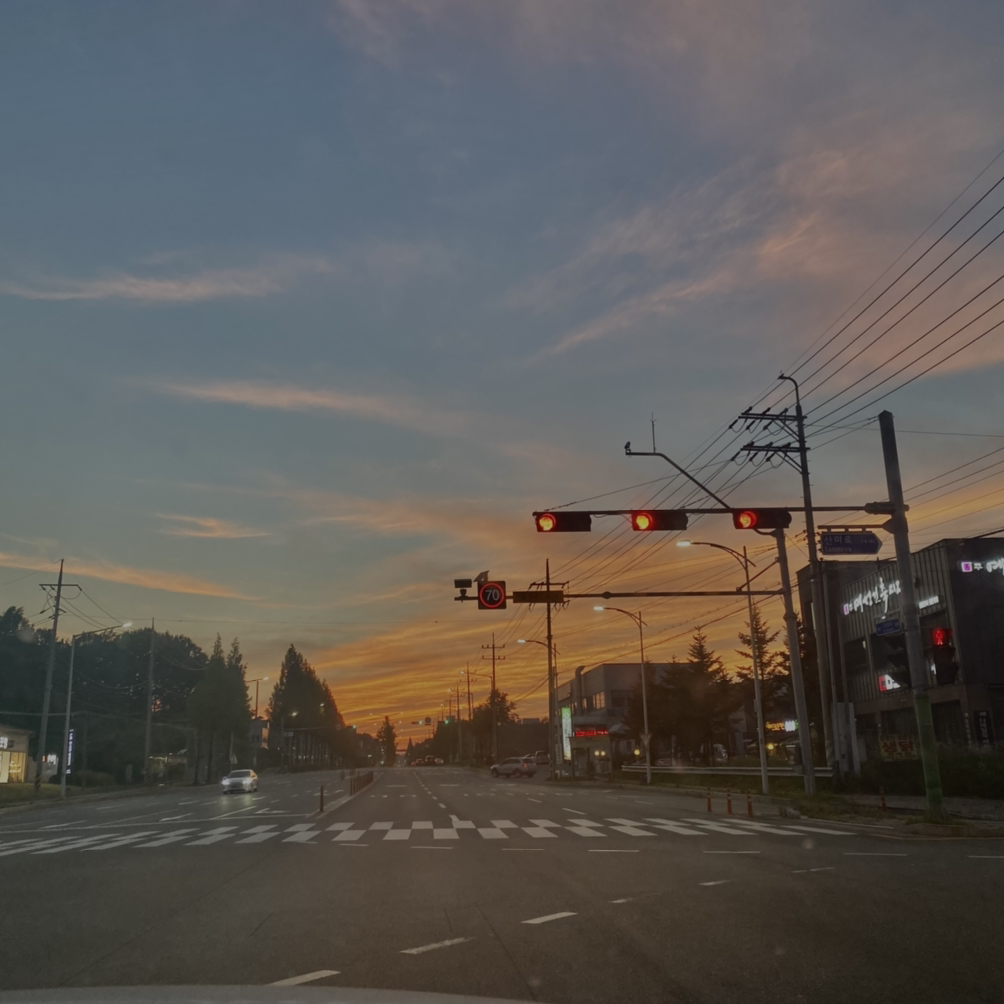 룰루랄라롤로릴리