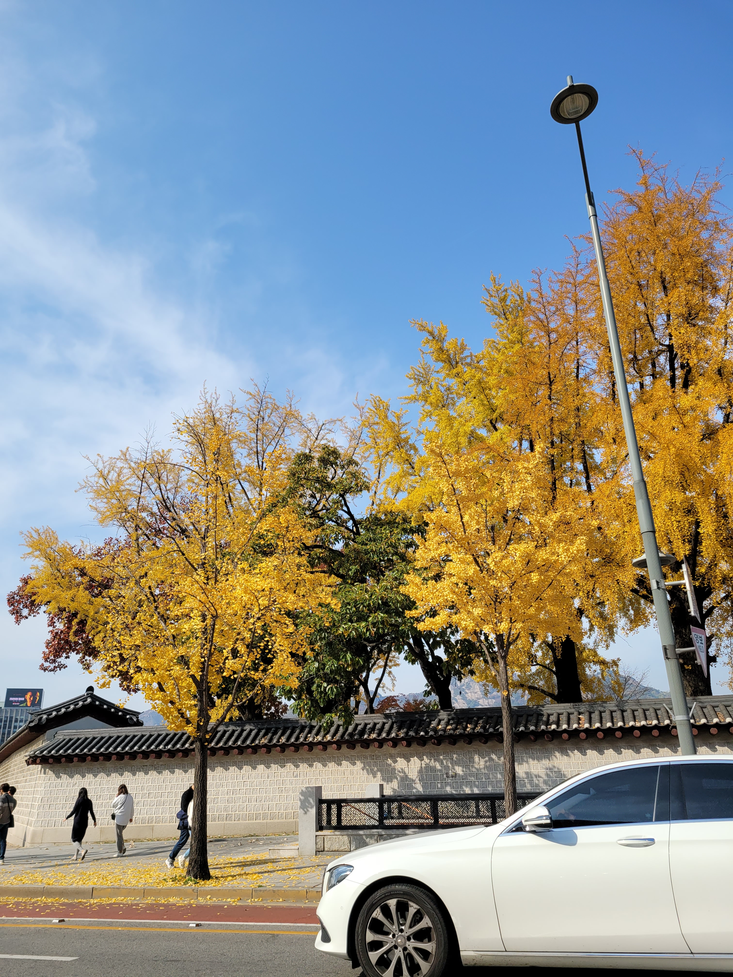 오후 네시의 햇살