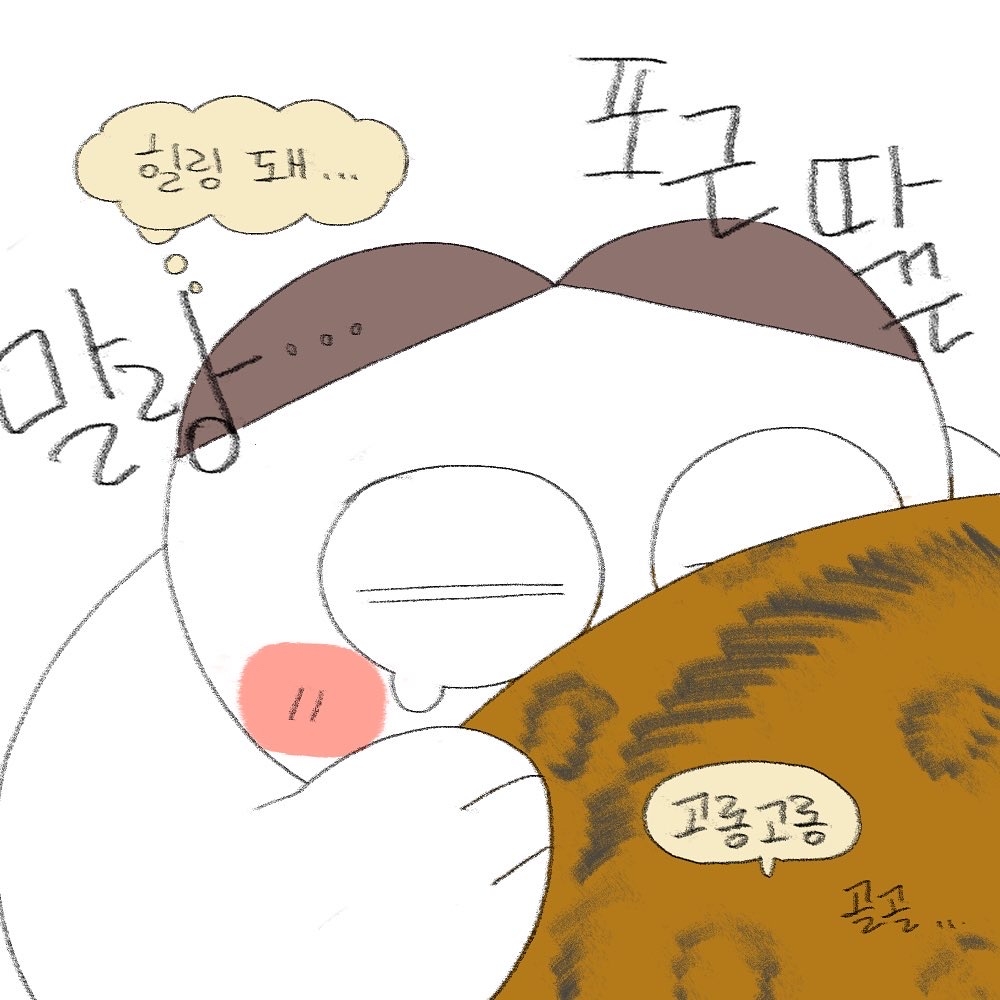 냥테라피 이미지