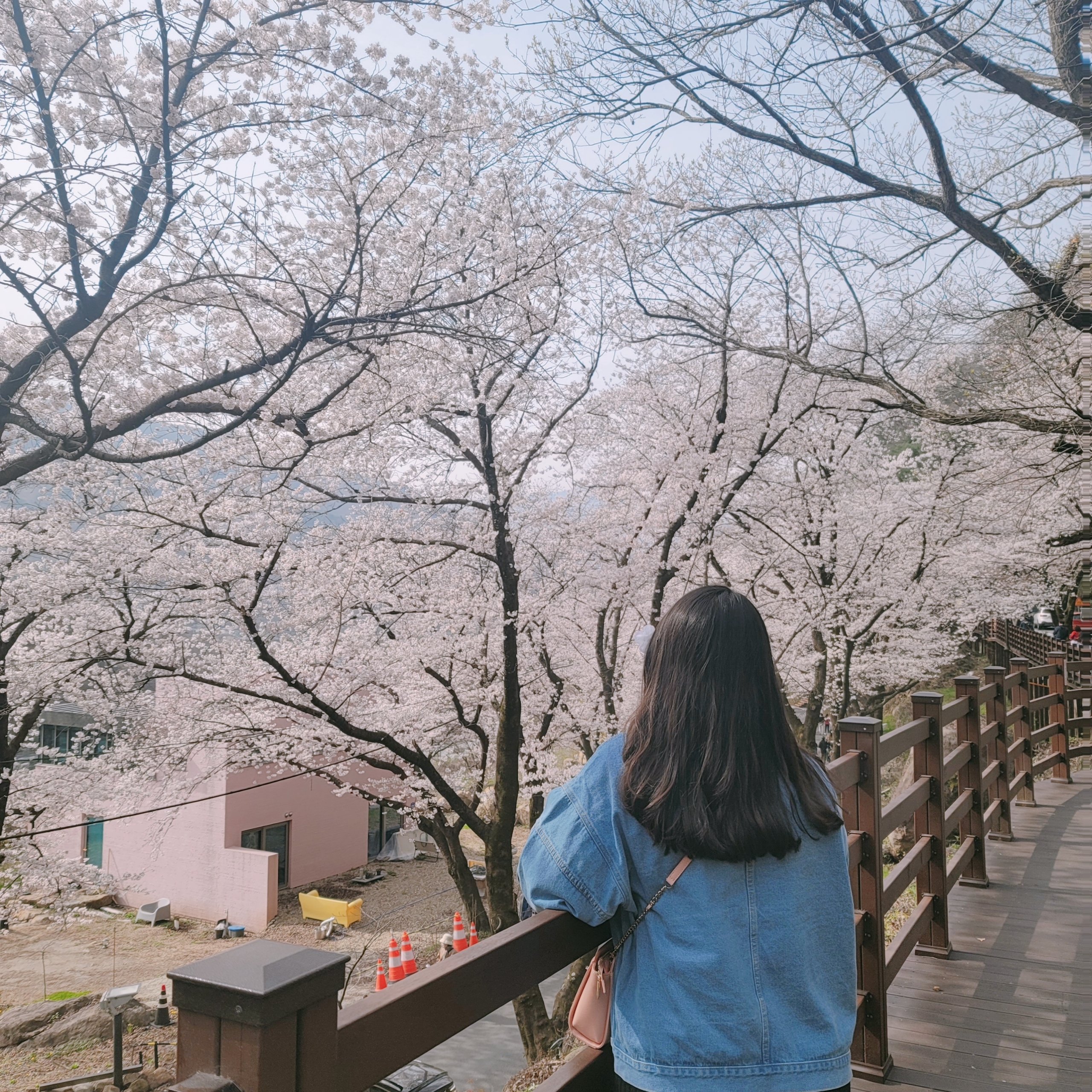 어니언