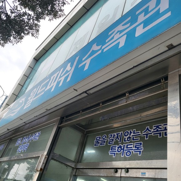 가자피쉬 이미지