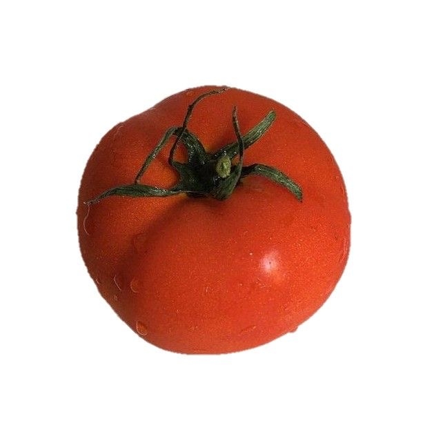 낭만적임에 일렁이는 청춘