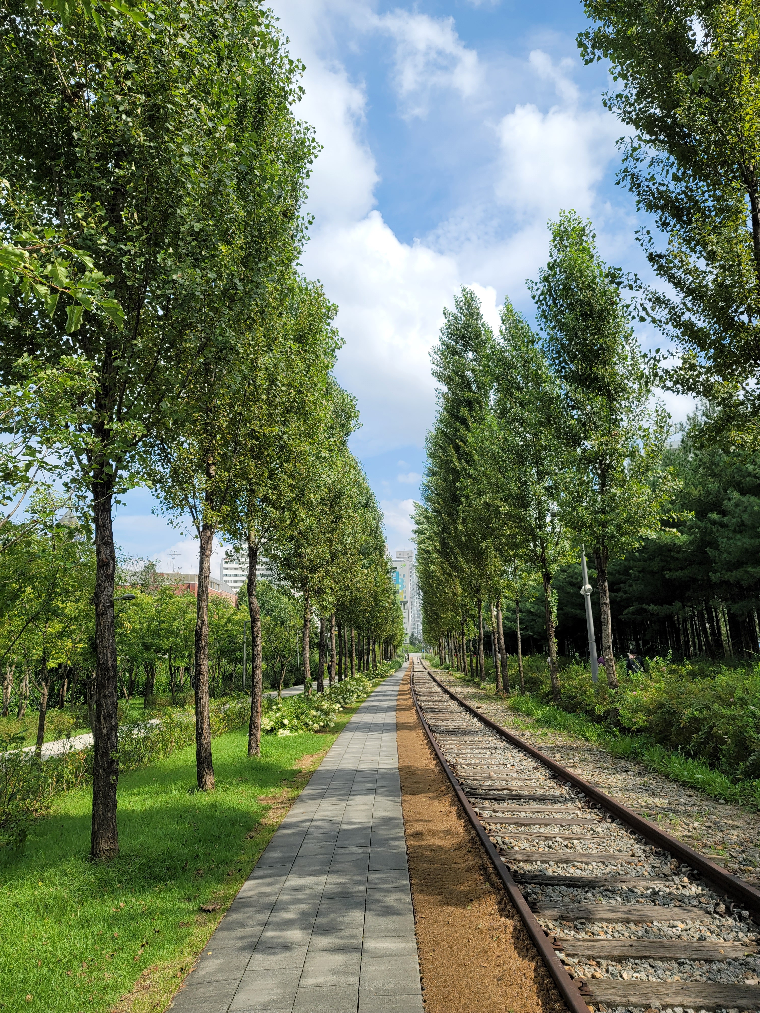 매사골똘한사람