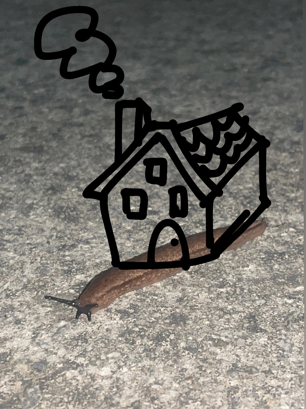 집 없는 달팽이