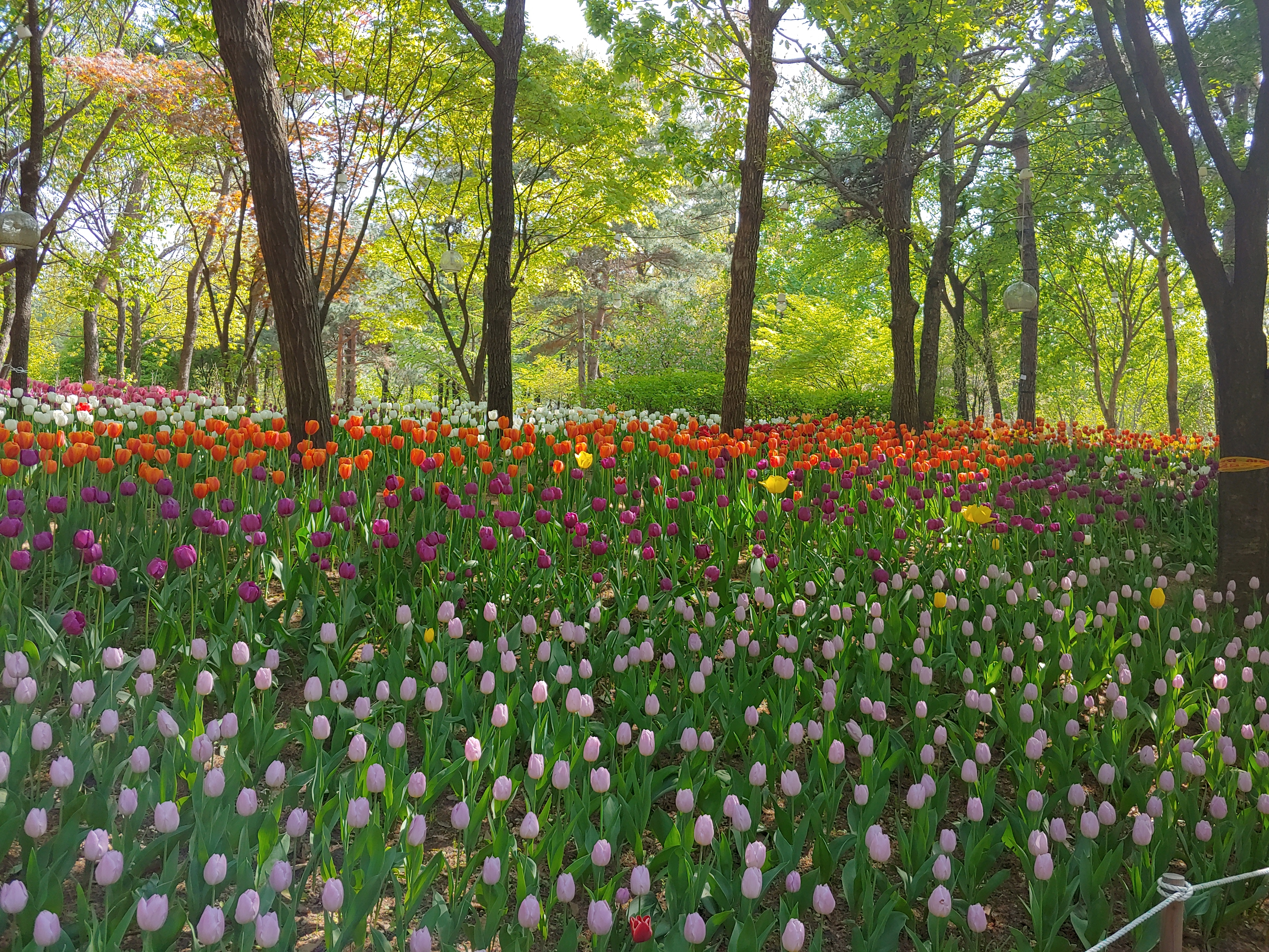 크리스틴 입니다