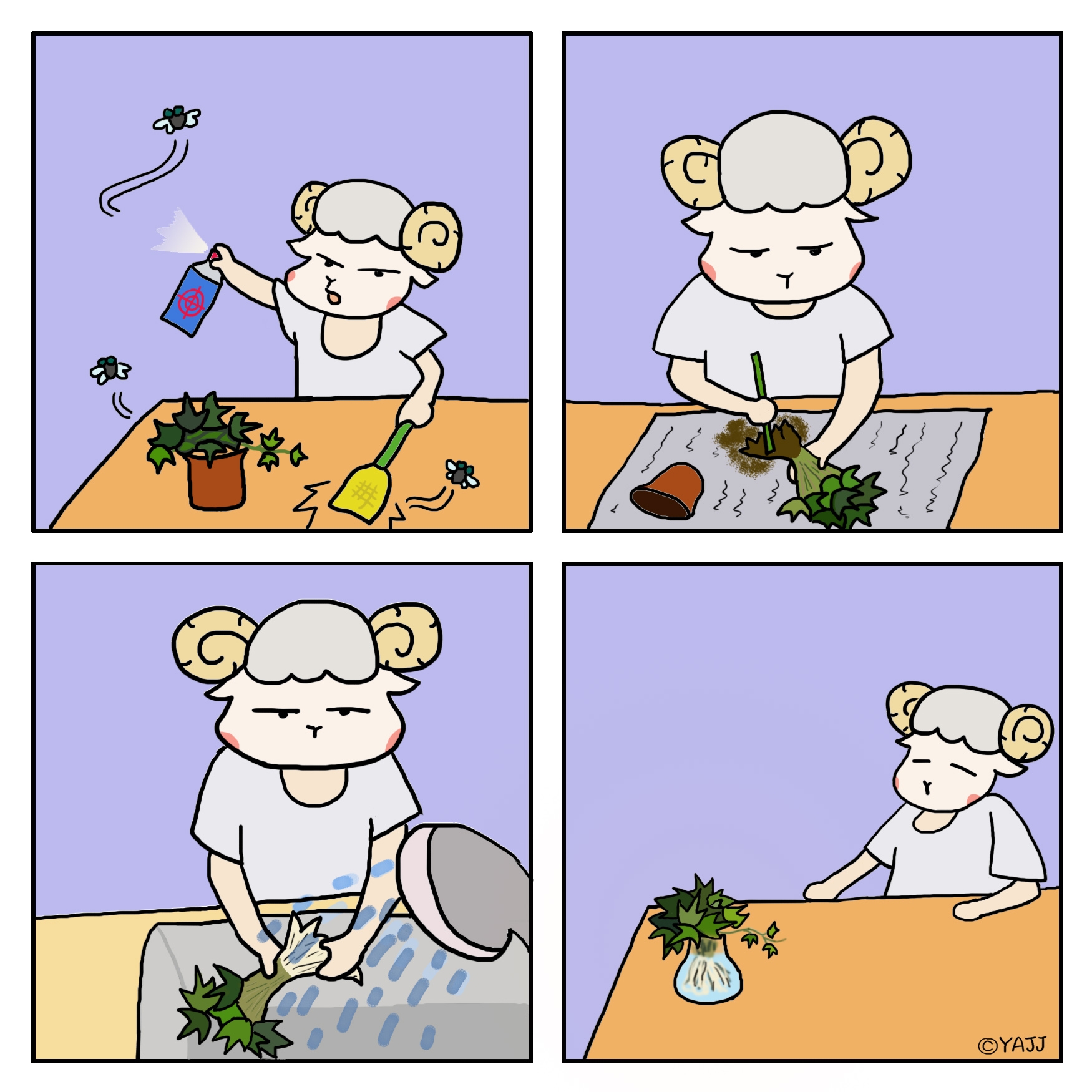 식물A 이미지