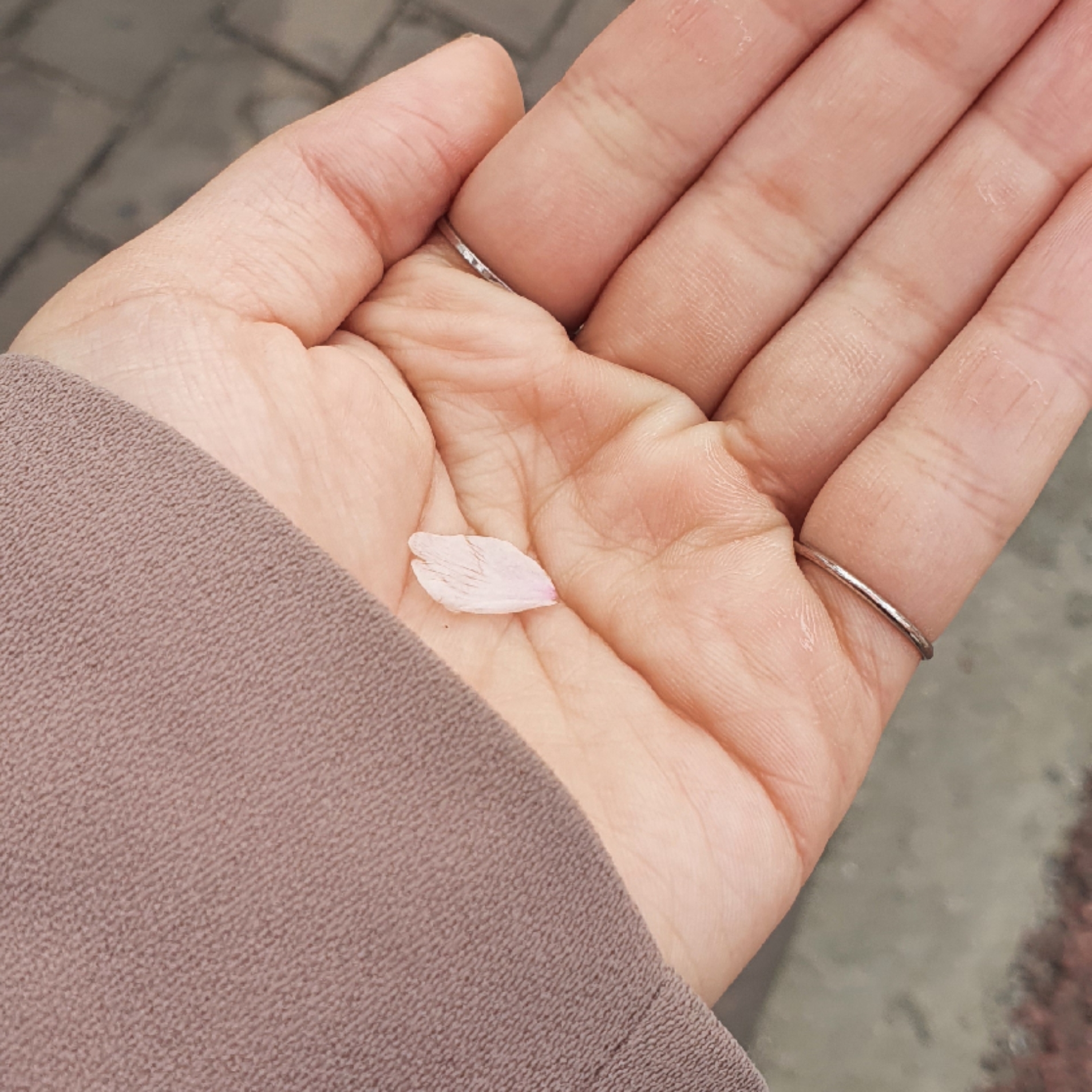 마케터의 관찰기