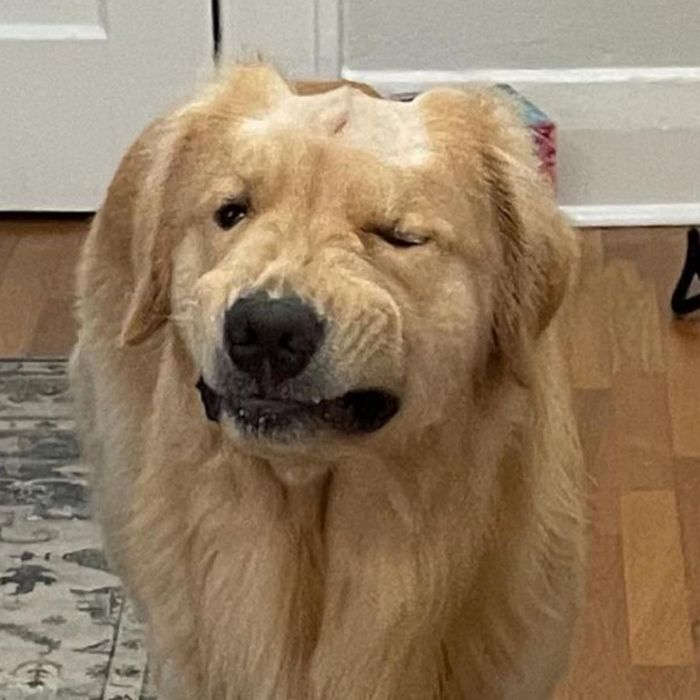 적반하장 이미지