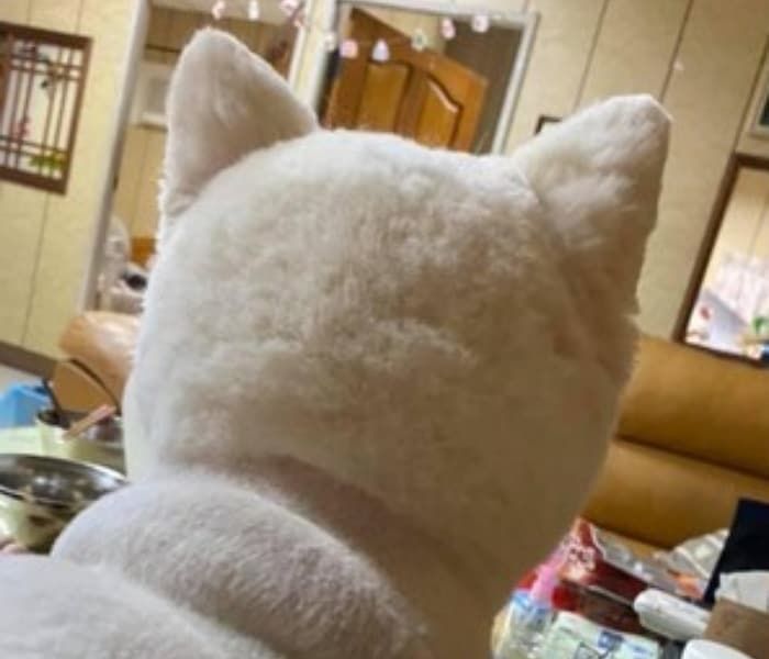 동글동글 이미지