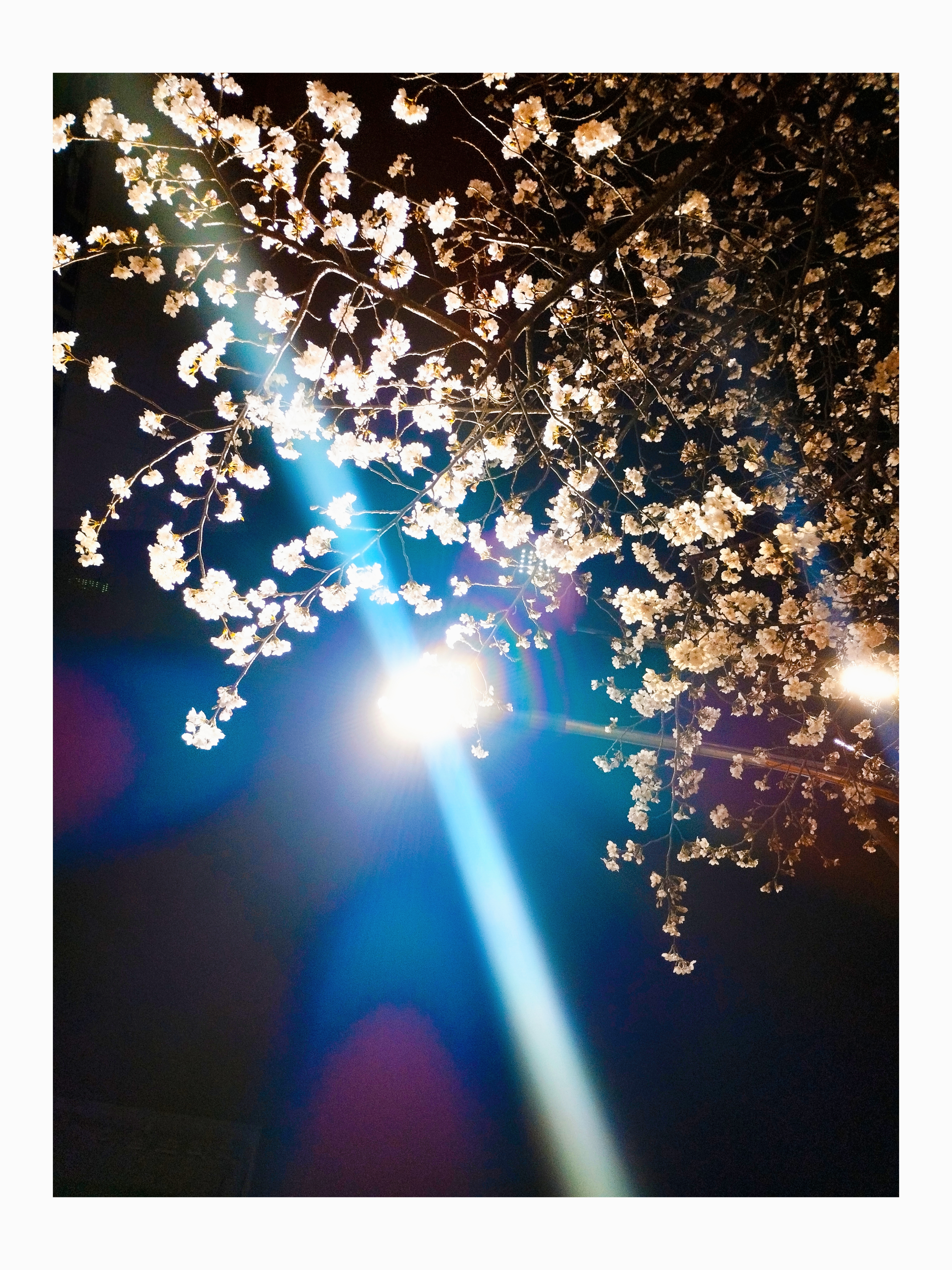 오늘뉴스한줄평