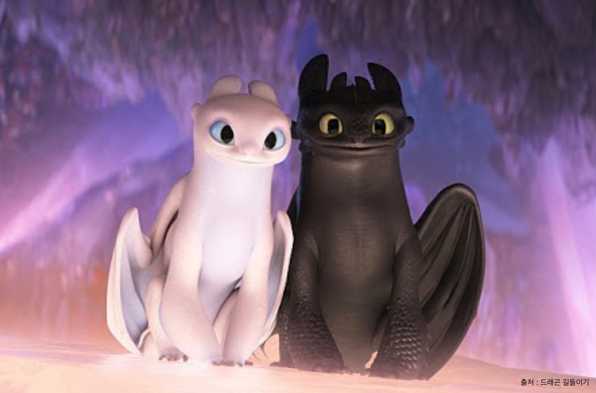 수의사가 보는 동물 캐릭터] 드래곤 길들이기 투슬리스