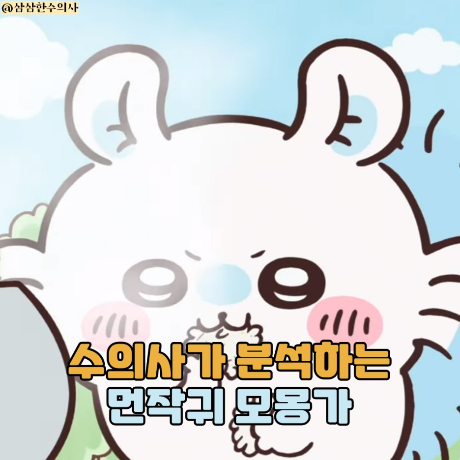 모몽가 이미지