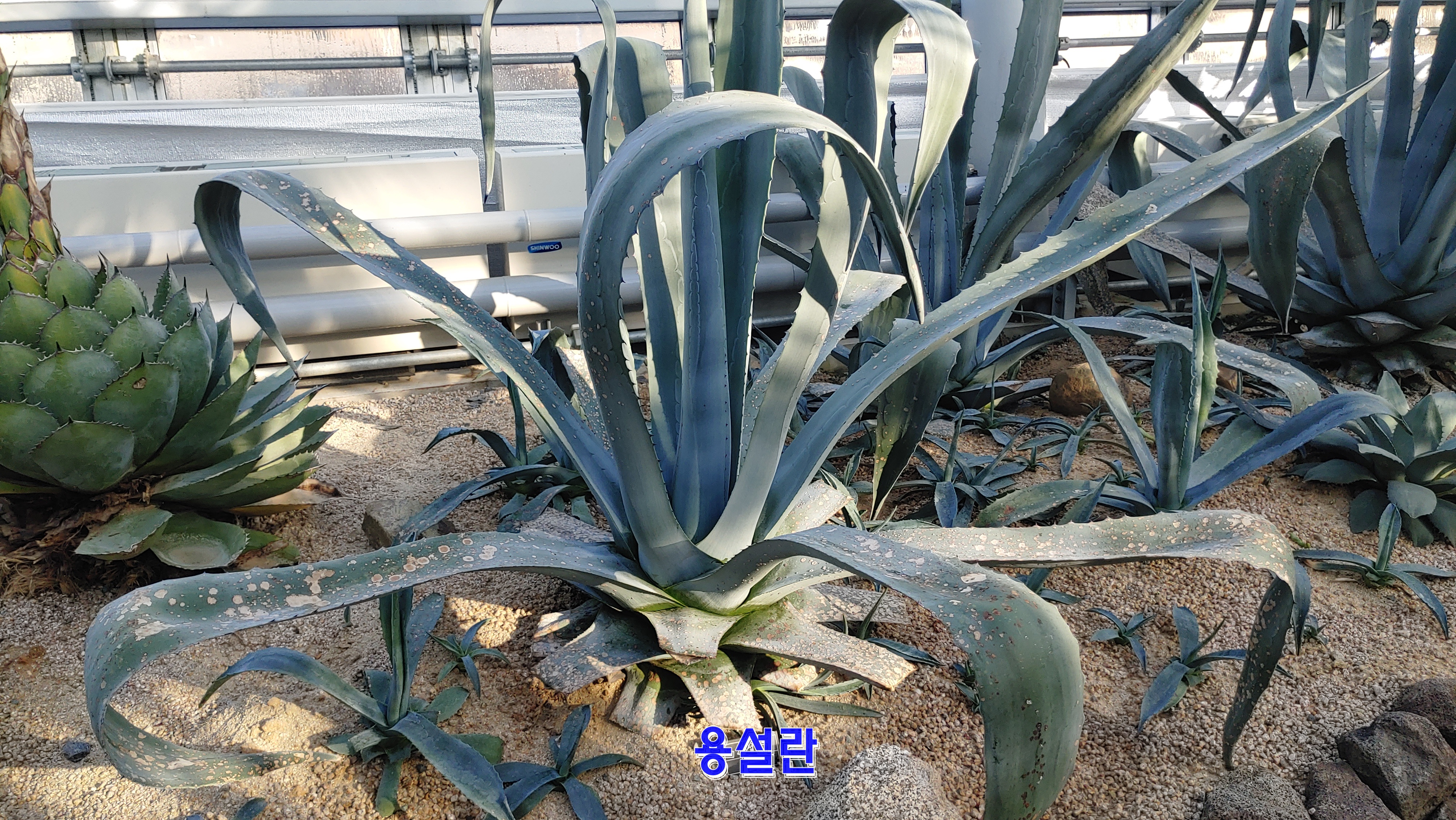 고향꽃식물원 이미지