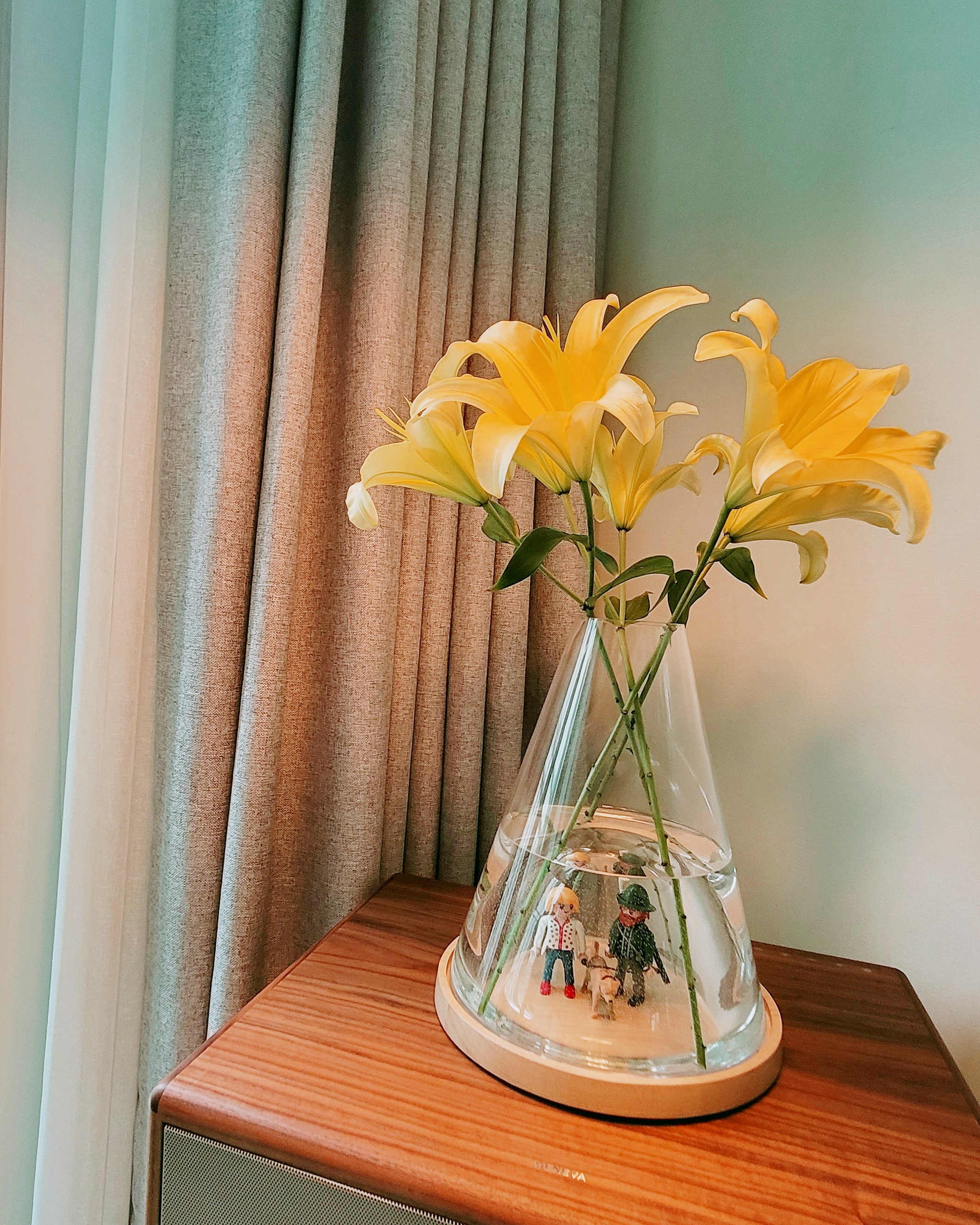 물오름달의 타니