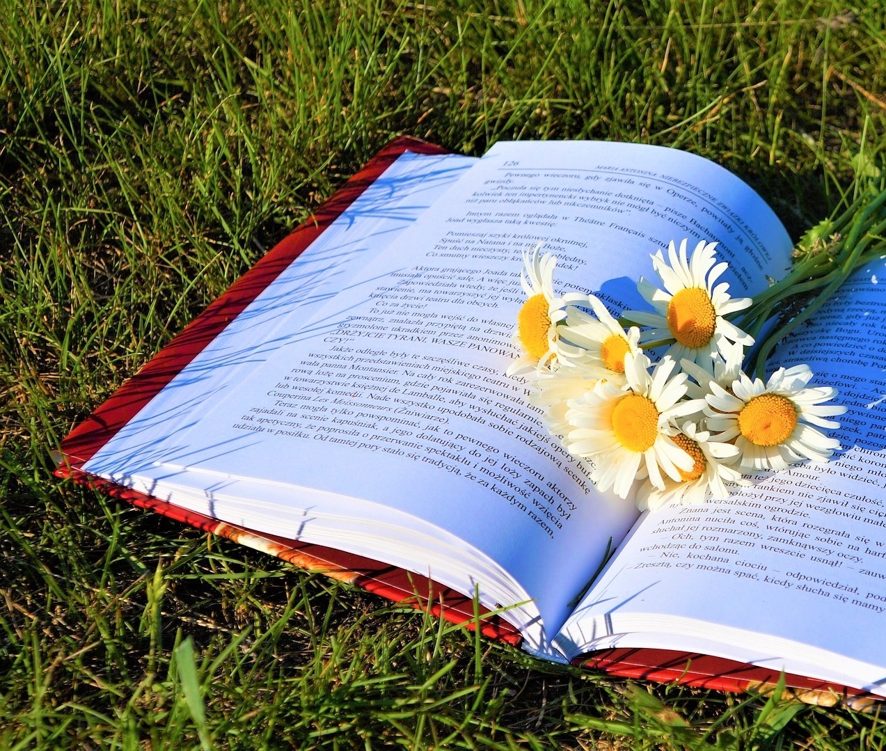 엠마의 스토리노트