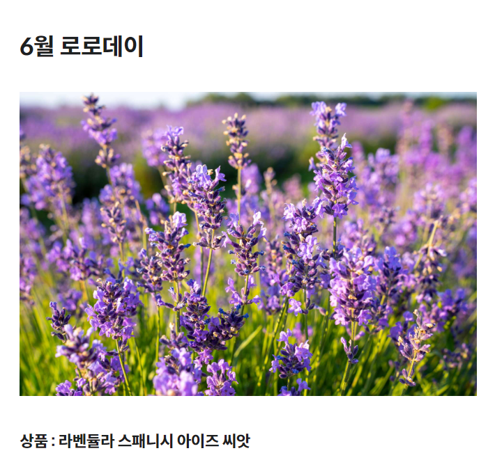 로로7 이미지