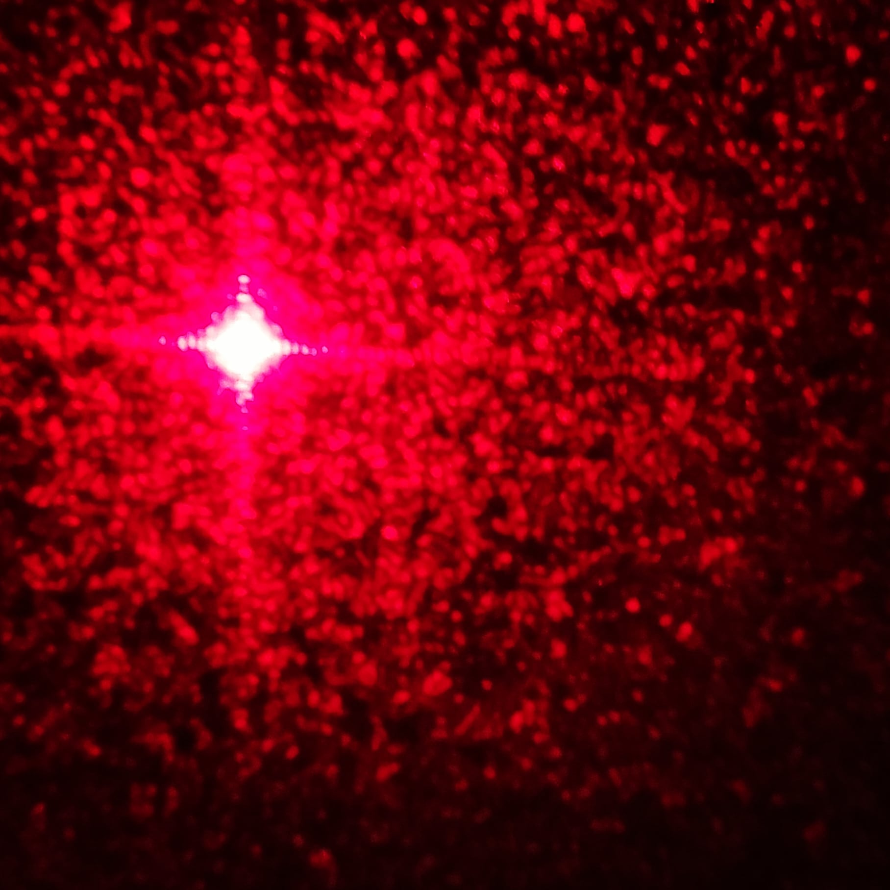 뻐끔이의 아틀리에