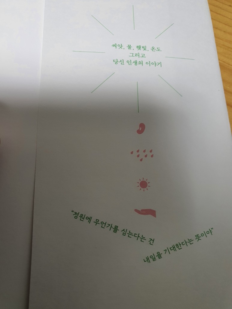 릴리언 이미지