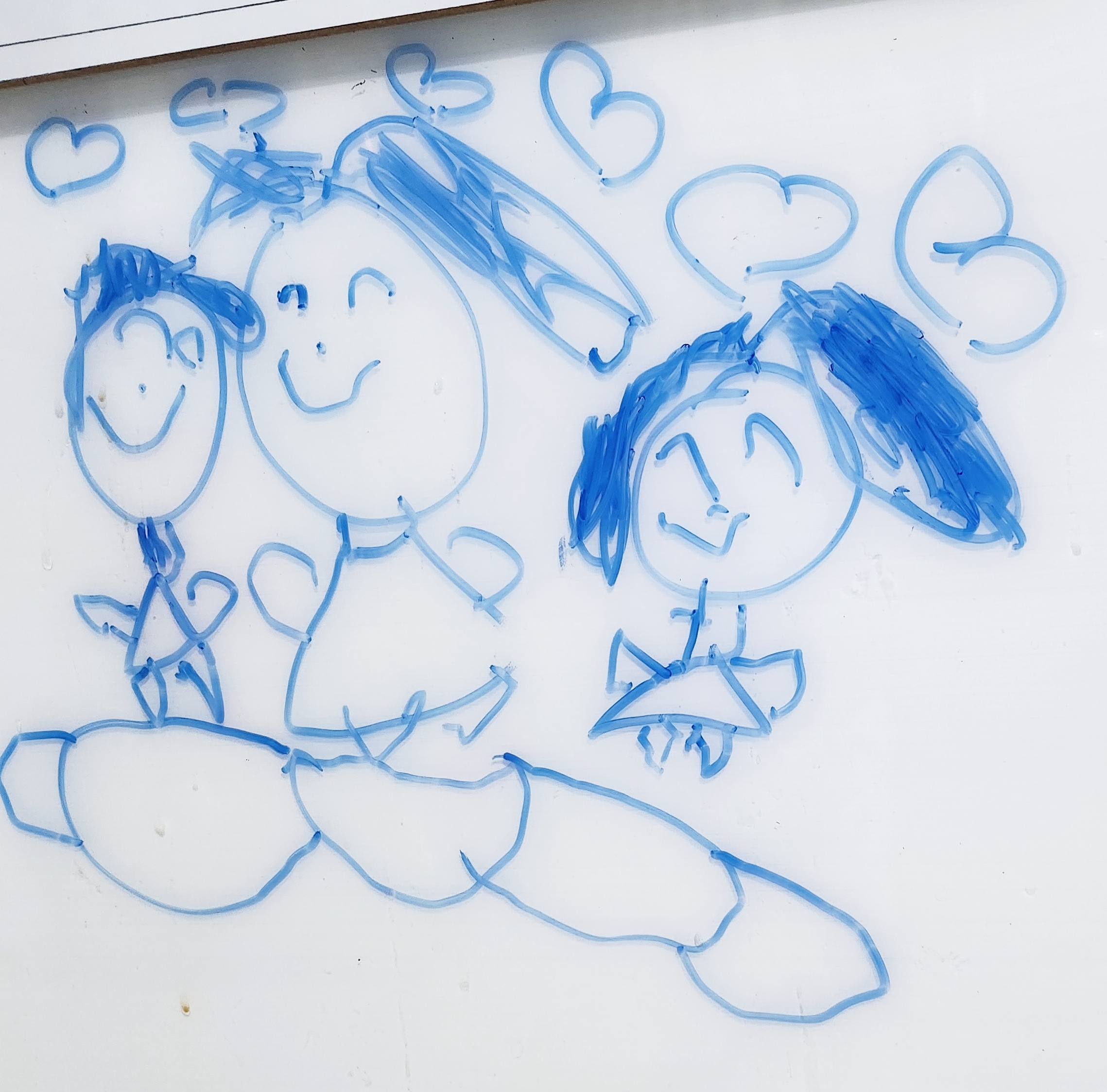 하서나 달공 끼끼