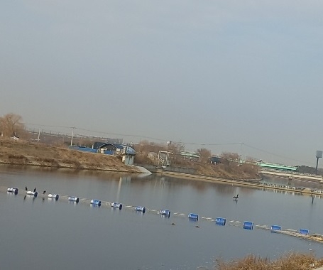 오리천국 이미지