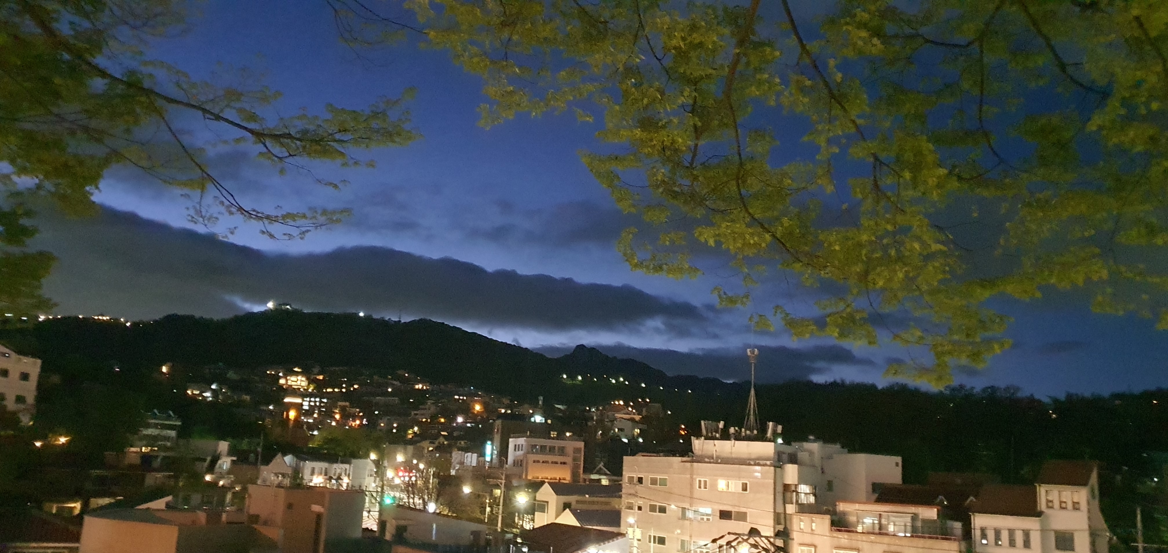 얄미운여우 이미지